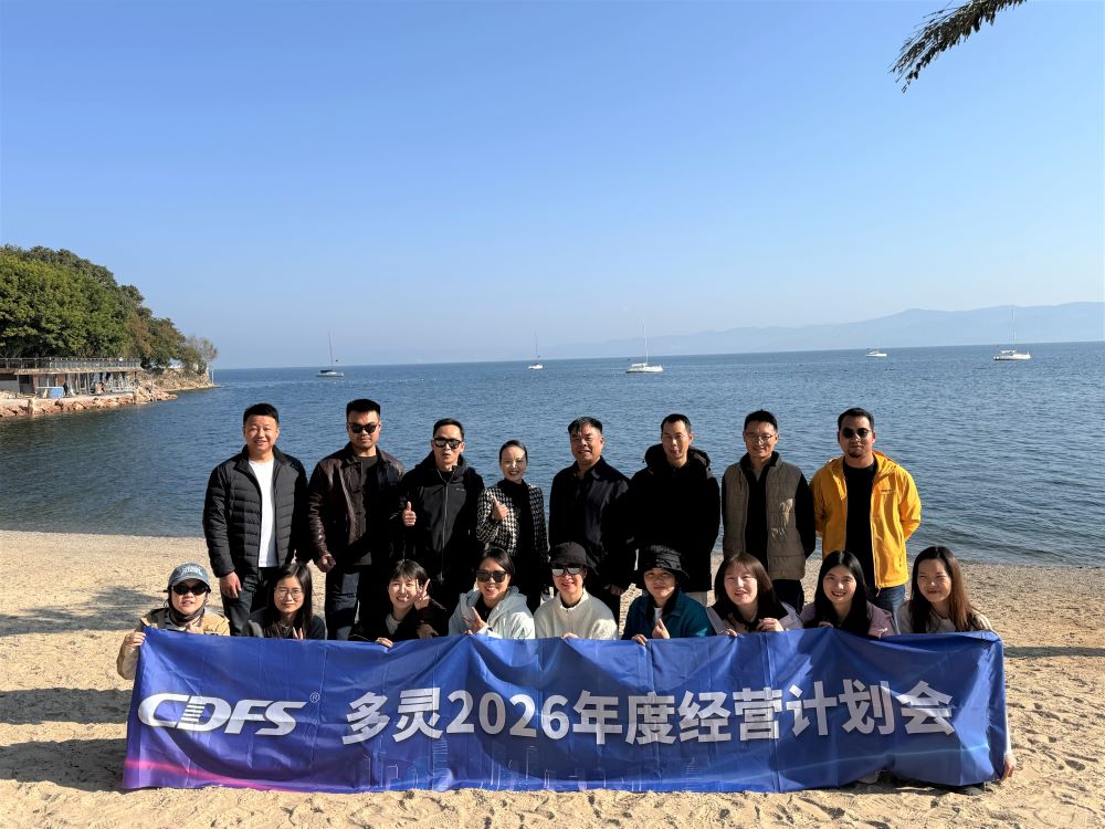 多灵年度经营计划会