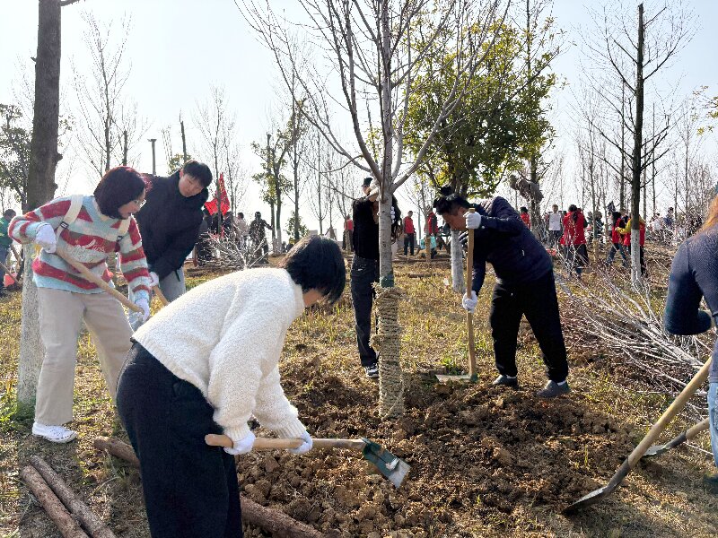 种下一片绿，收获好心情：多灵磨盘洲的植树活动
